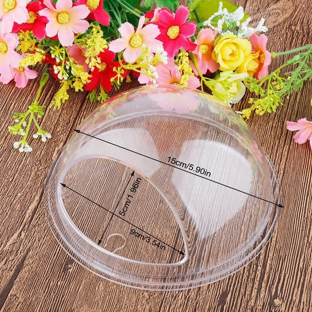 Aquarium Fish Tank Mount Acrylic Bowl Wall Hanging Home Decor Plant Pet Supplies 3