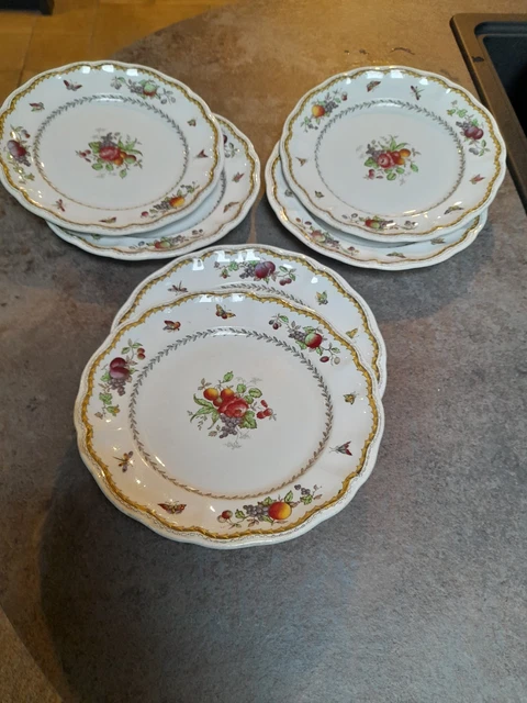 SET OF Copeland Spode Bone China, Rockingham 220mm Dinner Plates