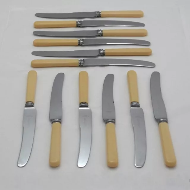 BONE EFFECT Handle Design SHEFFIELD Silver Service Cutlery Twelve Table Knives