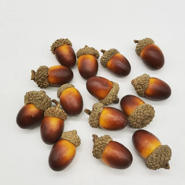 Bellotas decorativas completas parte natural - nueces artificiales secas decoraciones