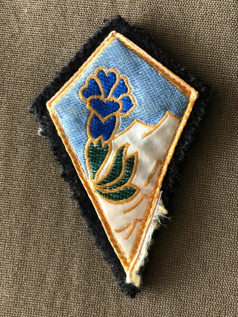 Ecusson Tissu 19e Division D'infanterie Algérie – Insigne Ancien, Usures, Collection