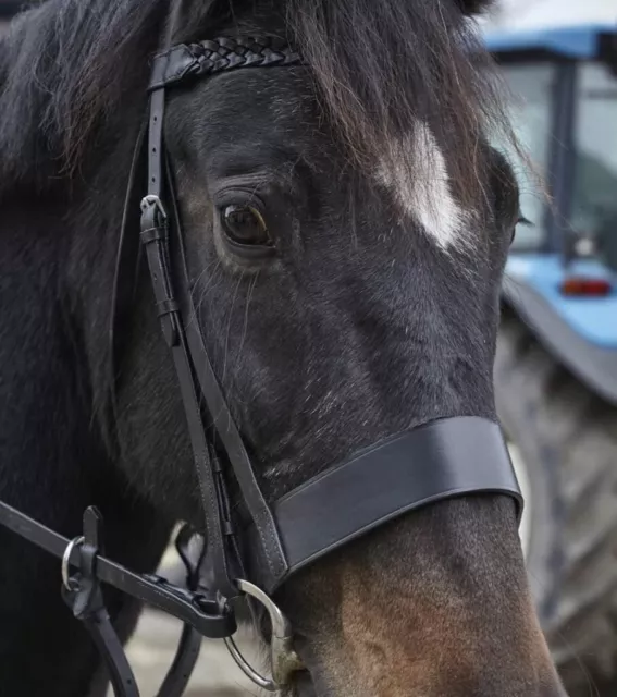 Equipride Plaited Hunter Bridle Noseband with Plaited Reins Black/Brown Leather