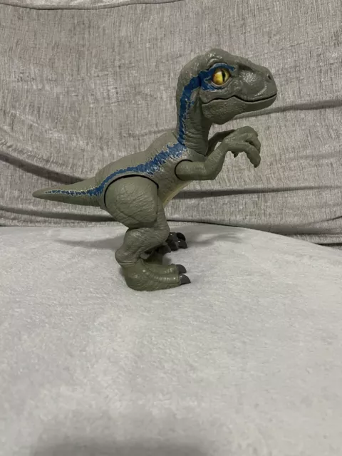 Primal pal blue cheap