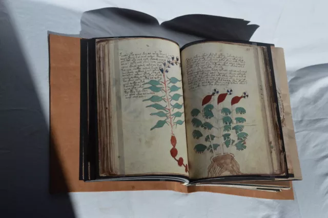 Voynich Manuscript leather Reproduction 3