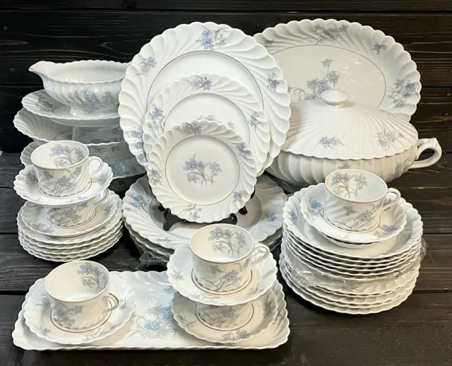 Haviland Limoges Bergere 6* Place Settings And Many Rare Service Pieces 42pc