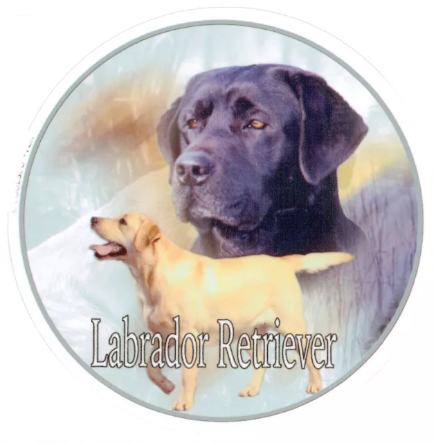 Design Aufkleber Labrador Retriever Retriver 3 schwarz 15 cm Autoaufkleber