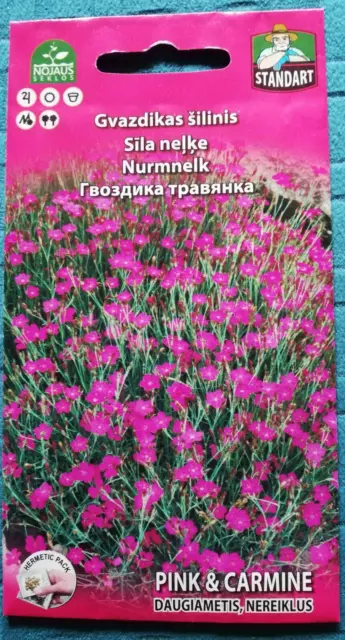 Garden Carnation Clove Drops Grass 950 Seeds Approx, 0.2 Gr