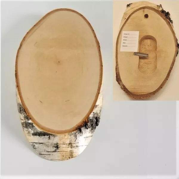 Abedul Escudo de Trofeo Ciervo Rehbockbaumscheibe Baumschild Natural Madera Con