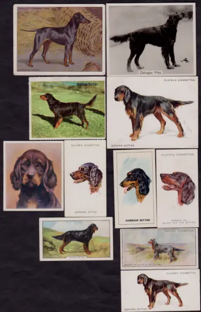 11 Different Vintage GORDON SETTER Tobacco/Cigarette/Tea Dog Cards Lot