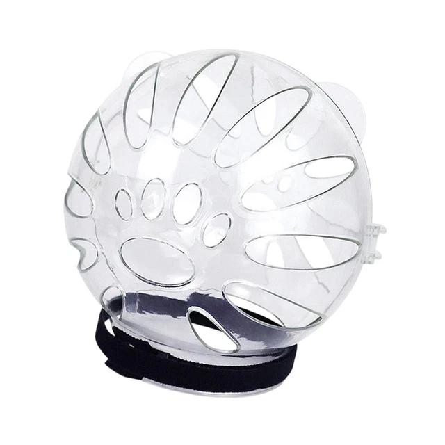 Bozal para gatos, transparente, protector bucal para mascotas, bozal,