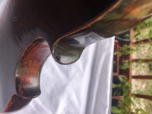 Collectors Violin Rigat Rubus Russian St Petersburg Violin 4/4 Round Edges.