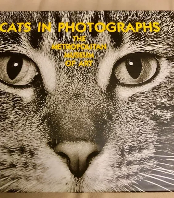 CATS IN PHOTOGRAPHS Metropolitan Museum of Art 24 Notes & Envelopes in open box