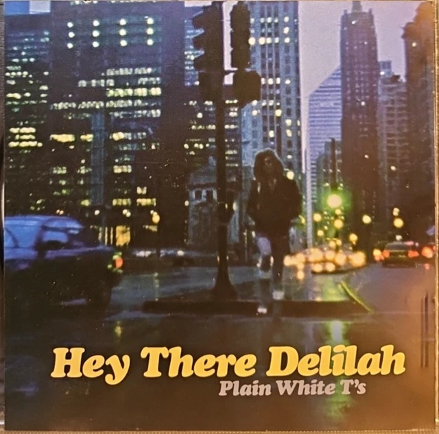 PLAIN WHITE T'S 