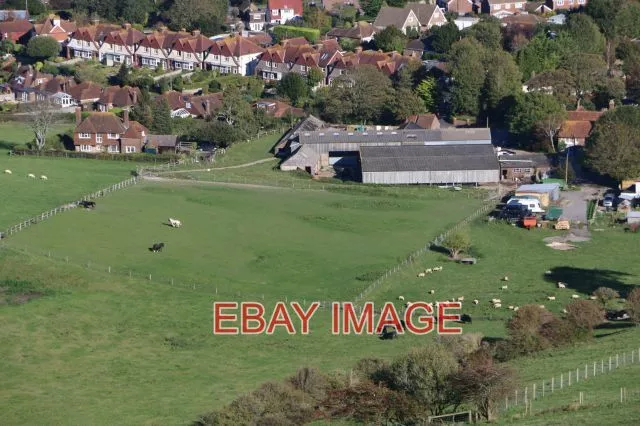 Photo  Farm Animals Grazing On Land At Tas Coombe  East Sussex This Photo Was Ta