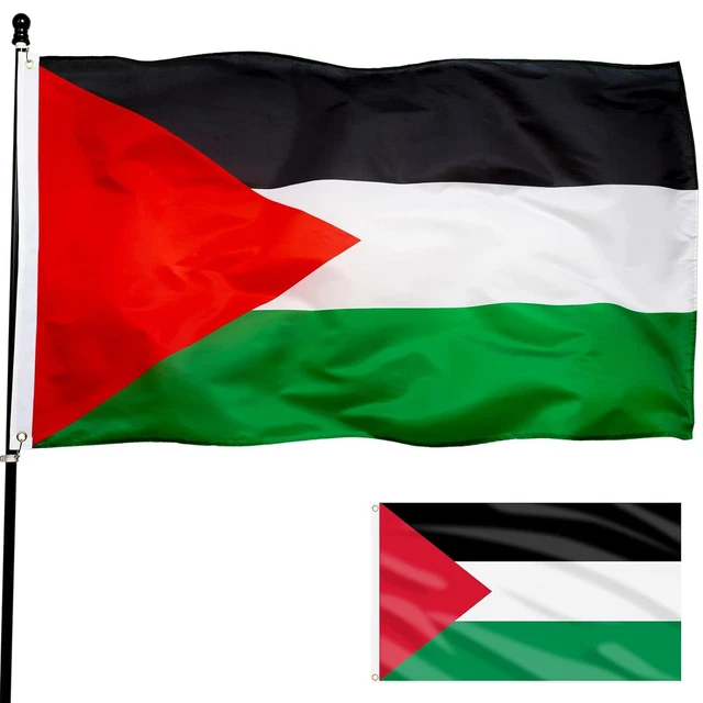 Bandiera Palestina Piccola Bandiera Palestinese – In Poliestere Resistente, Perfetta Per Manifestazioni, Eventi O Mostra Di Solidarietà. Bandiera Palestina Grande - Foto 2