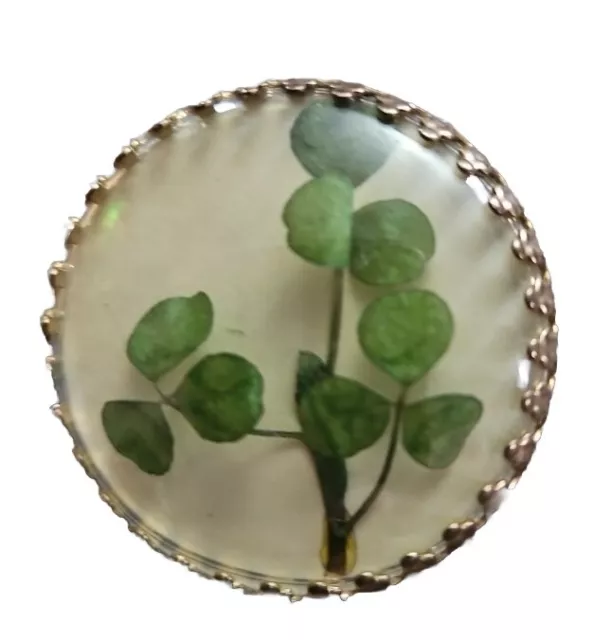 Vintage Gold Tone Encased Cast Four Leaf Clover Brooch Pin