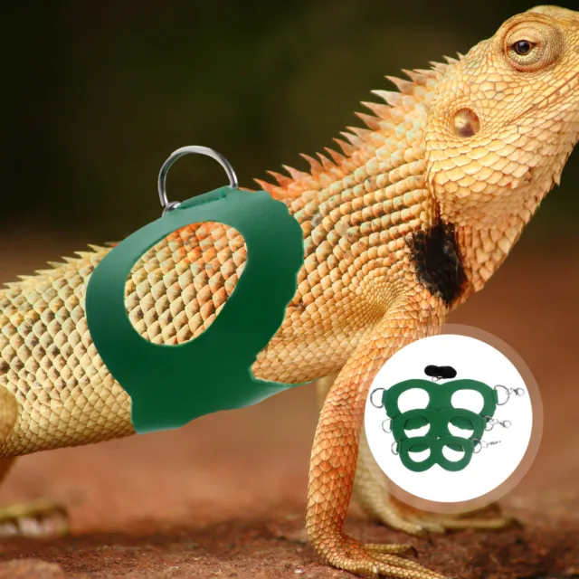 Accesorios de dragón barbudo al aire libre reptil correa animal gecko