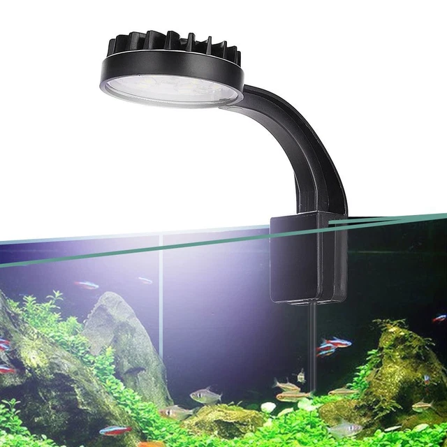 Luce clip ciotola per pesci acquario con alimentazione USB acquario serbatoio acqua