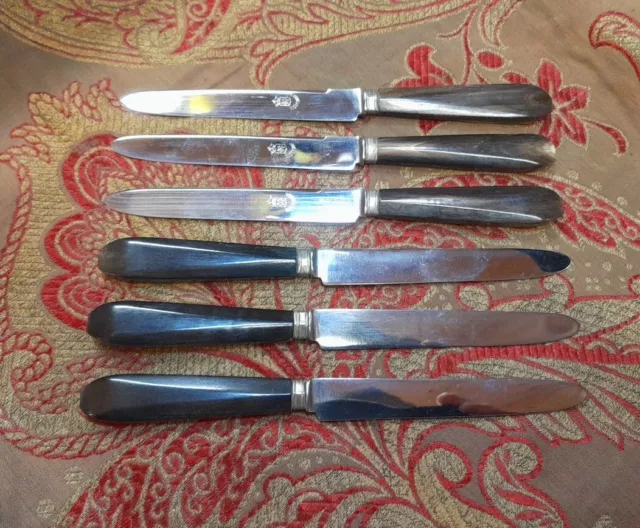 6 couteaux anciens de table lame inox manche en corne virole argenté Art Déco 1