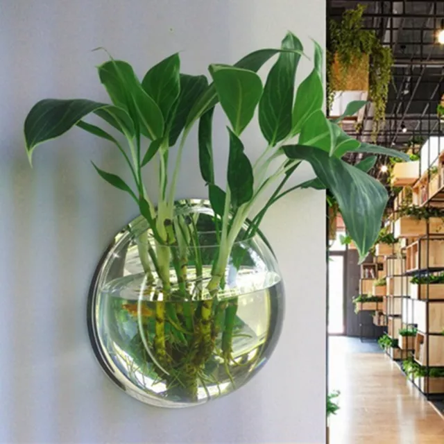 Hanging Wall Mounted Fish Bowl Aquaponic Tank Aquariums Plant Fish Bubble Gift
