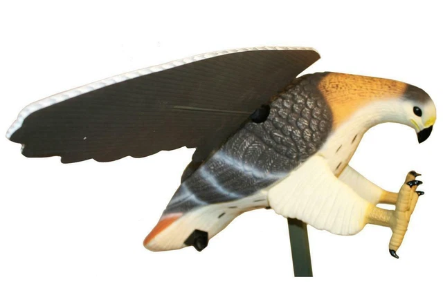 MOJO Outdoors HW4310 Hawk Predator Hunting Decoy