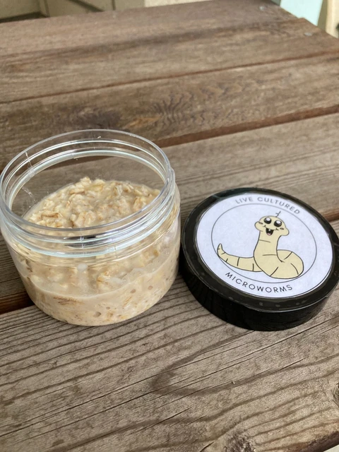 Live Micro Worm - Established Culture - 4oz Container - Ready to use