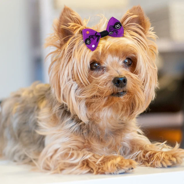 Tela Halloween Mascota Tocados Lazos Cabello Cachorro Ropa