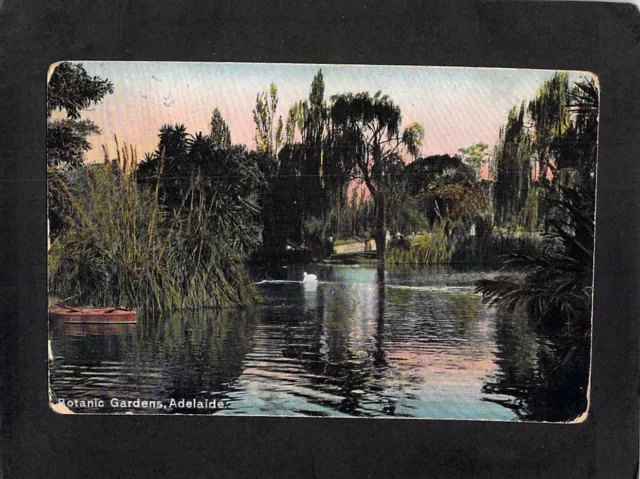 B1171 Australia SA Adelaide Botanic Gardens Pond PU1906 vintage postcard