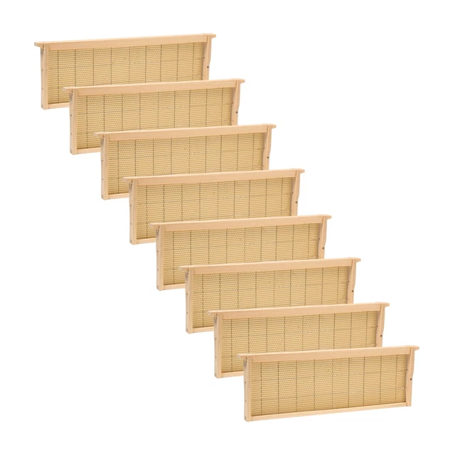 Beekeeping Medium Beehive Frame, Wired Beeswax Foundation, Amish Made Set of 8