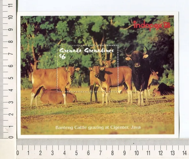 36802) GRENADA Gren. 1993 MNH** Indopex, Cattle, Cow S/S