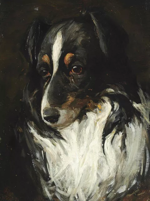 Border Collie Dog Portrait 18 x 24 in Rolled Canvas Print Vintage Painting