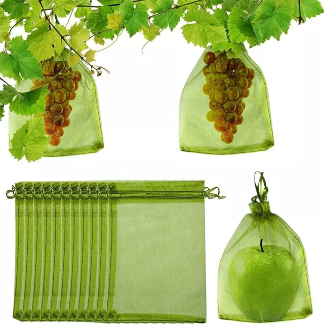 Bolsa de protección de plantas Bolsas Caver de planta Bolsas de red de frutas