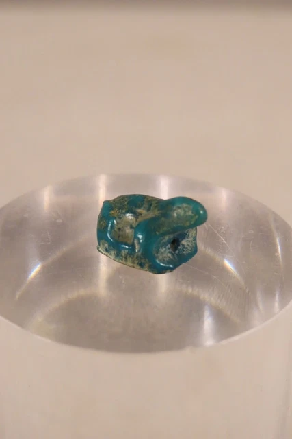 Ancien jouet petite grenouille Petitcollin en celluloïd