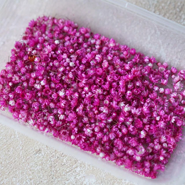 Real Dried Flower For DIY Art Craft Epoxy Resin Candle 2022 Jewelry Glass P6A5