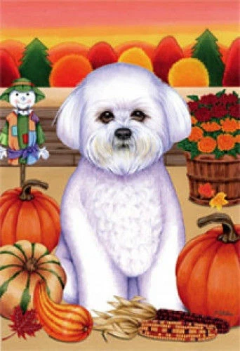 Autumn (TP) Garden Flag - Bichon Frise 67067