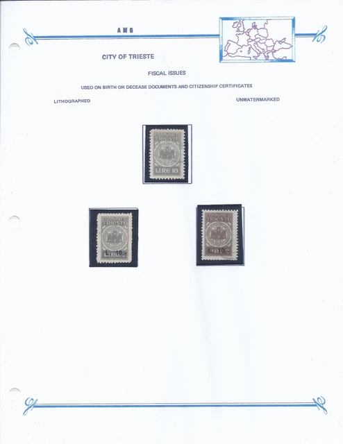 AMG FTT Italy Trieste Municipal Revenues # 7