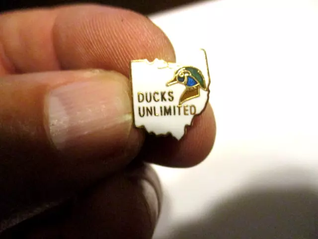 Du Ducks Unlimited State Of Ohio Drake Wood Duck Lapel Pin