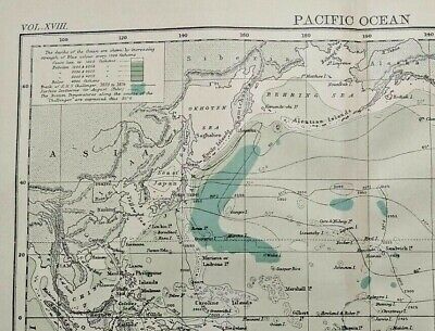 Vintage 1894 PACIFIC OCEAN Atlas Map Authentic Antique Encyclopedia Britannica 2