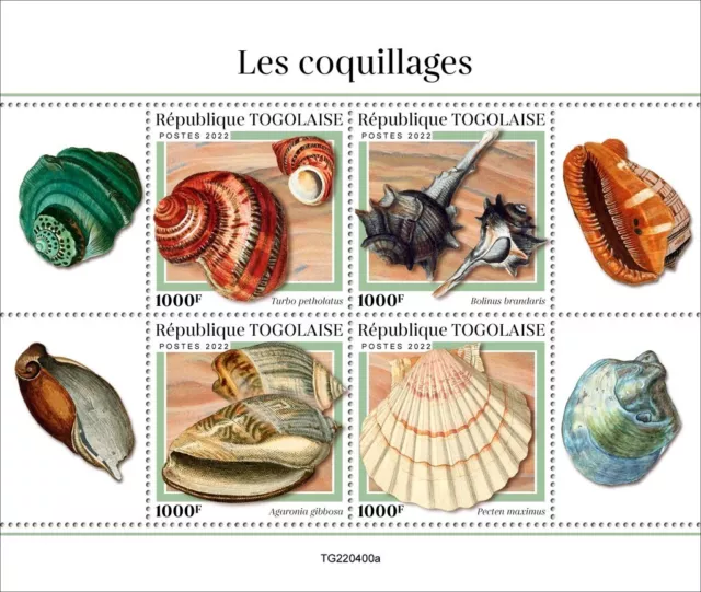 Shells MNH Stamps 2022 Togo M/S