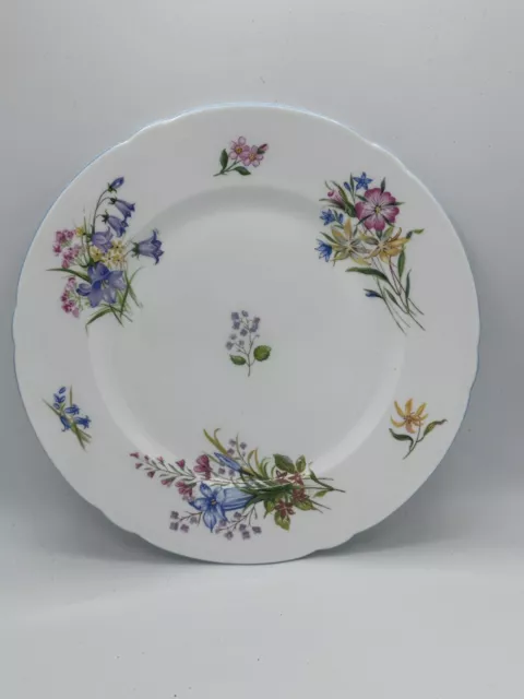 Vintage Replacement China SHELLEY WILD FLOWERS 13668 Blue Edge Starter Plate