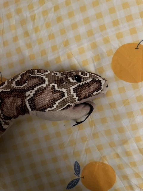 IKEA DJUNGELSKOG GLOVE puppet, snake/burmese python £6.52 - PicClick UK