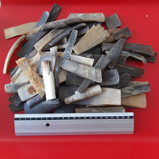 Lot de 500 grammes de chutes / morceau de corne pour manche couteau