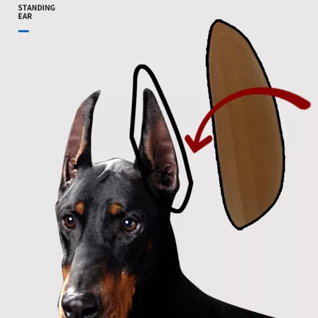 Pratici adesivi supporto orecchie per cani raddrizzatore orecchie traspirante per accessori per cani