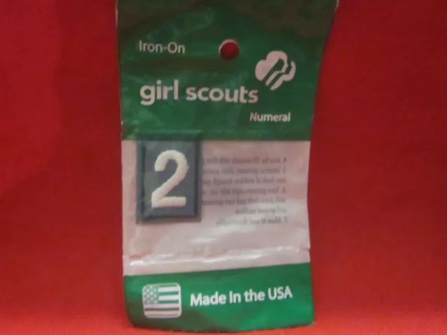 Junior Or Cadette Girl Scouts Number 2 (New)