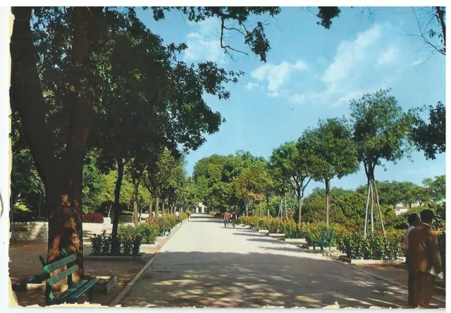 Cagliari Italy, Vintage Postcard, Public Garden, Kodak Ektachrome