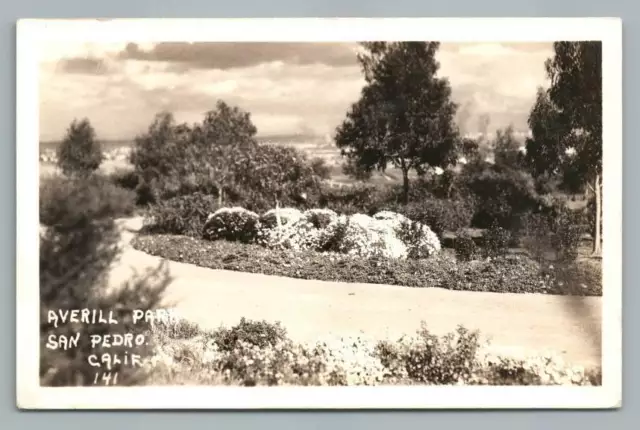 Averill Park SAN PEDRO California RPPC Vintage LOS ANGELES Photo Flowers 1940s