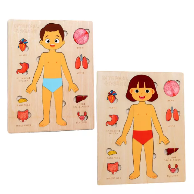 Kids Human Body Puzzle Montessori Toy Wooden Anatomy Early Learning Toy