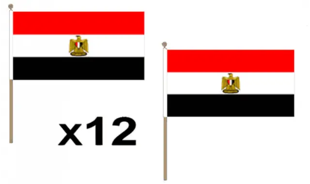 Pack Of 12 Egypt Hand Flags 9 x 6" - Party Conferences Office Display