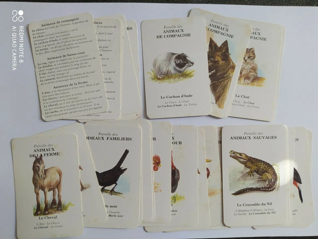 ANCIEN JEU DE Cartes 7 FAMILLES Les ANIMAUX FAMILIERS Playing Cards ...