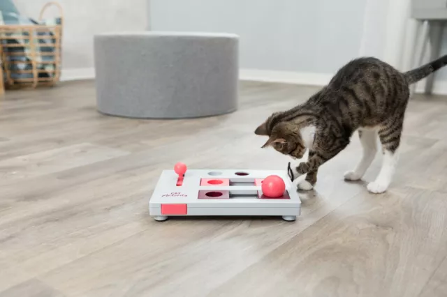 Cat Activity Stategie-Spiel "Brain Mover"